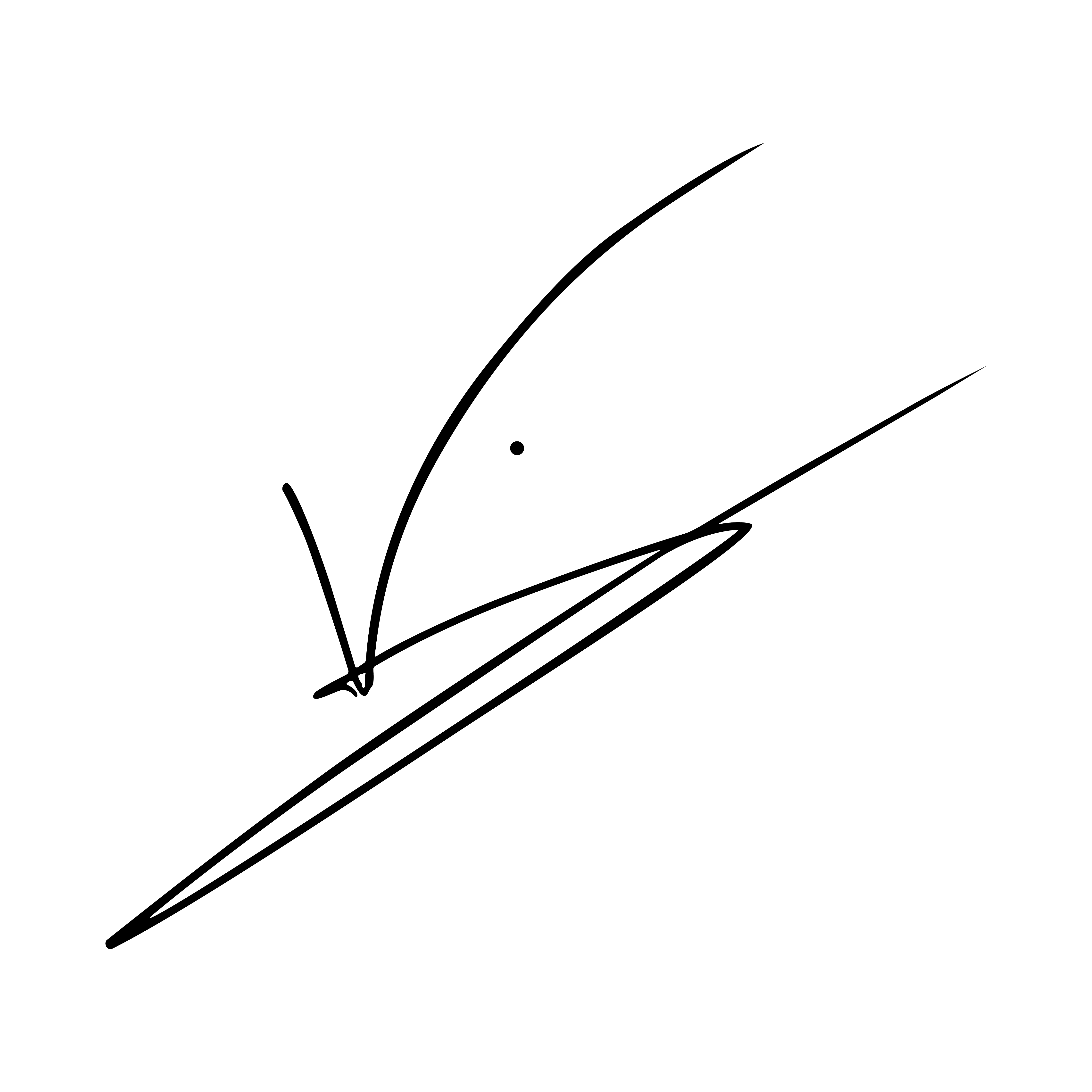 Signature 1